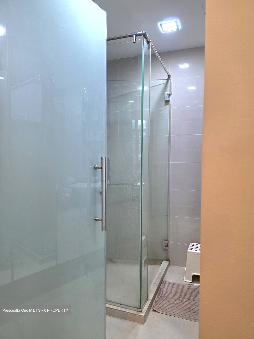 Northvale (D23), Apartment #543407281